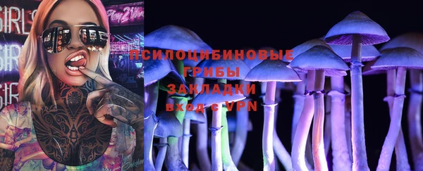 2c-b Алзамай